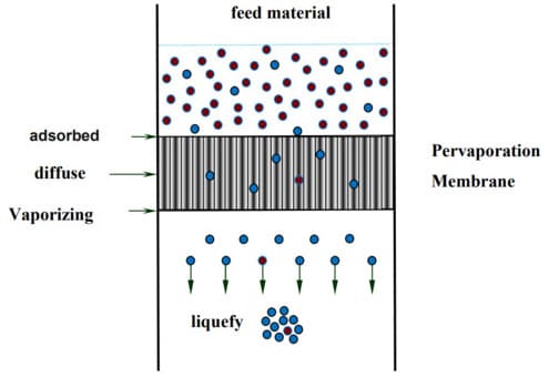 pervaporation technology for organic solvent dehydration application