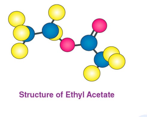 ethyl acetate